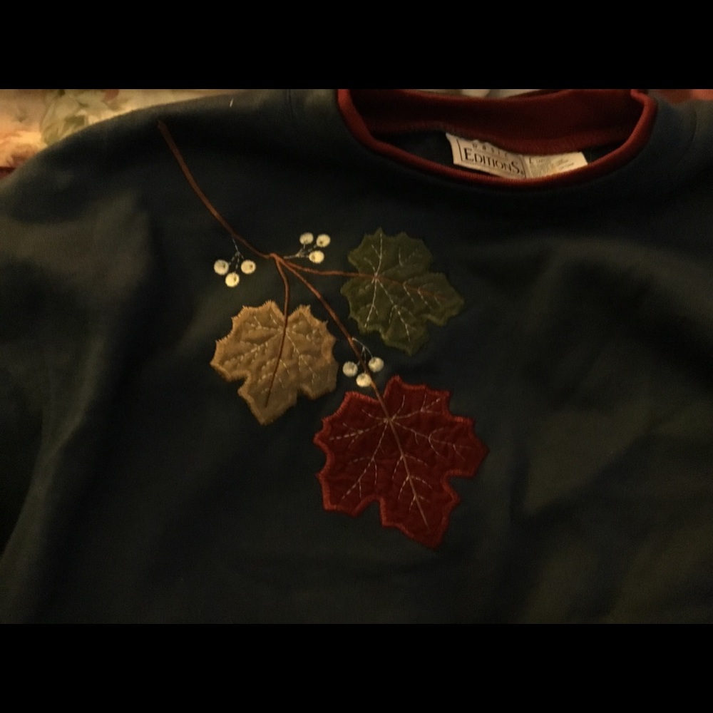 Nice fall sweatshirt
